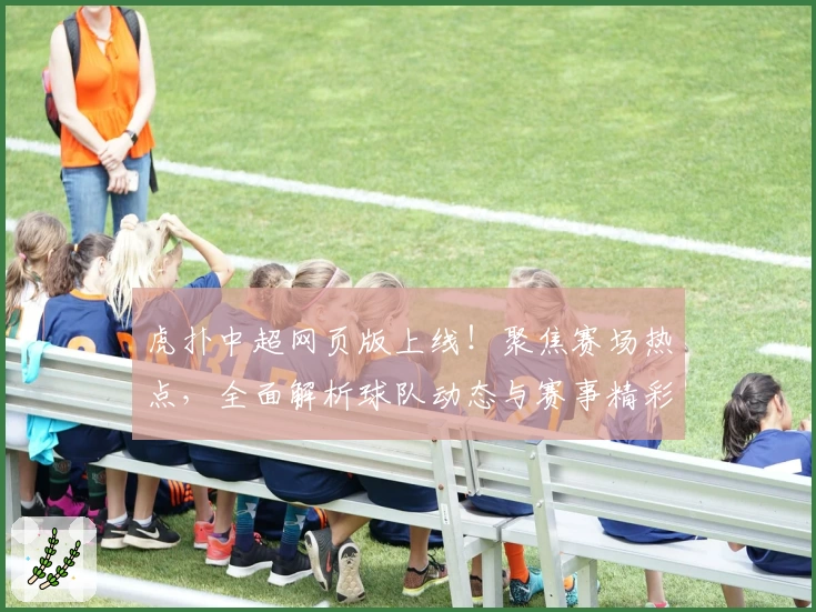 虎扑中超网页版上线！聚焦赛场热点，全面解析球队动态与赛事精彩瞬间