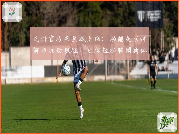 虎扑官方网页版上线:功能亮点详解与注册教程,让你轻松解锁新体验